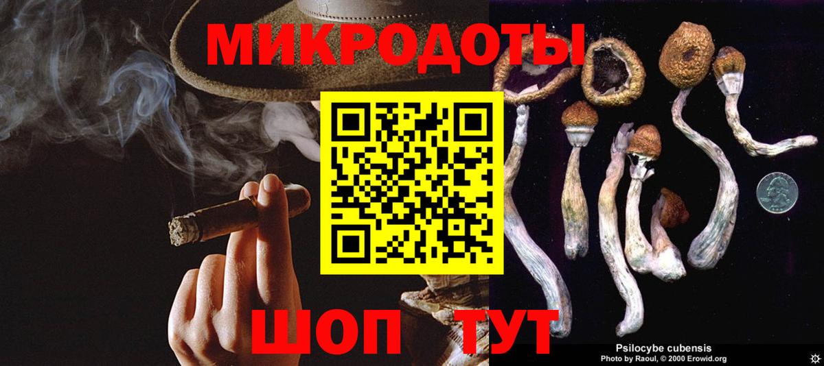 сколько стоит  Галлюциногенные грибы прущие грибы  Вход с VPN  Зеленогорск 
